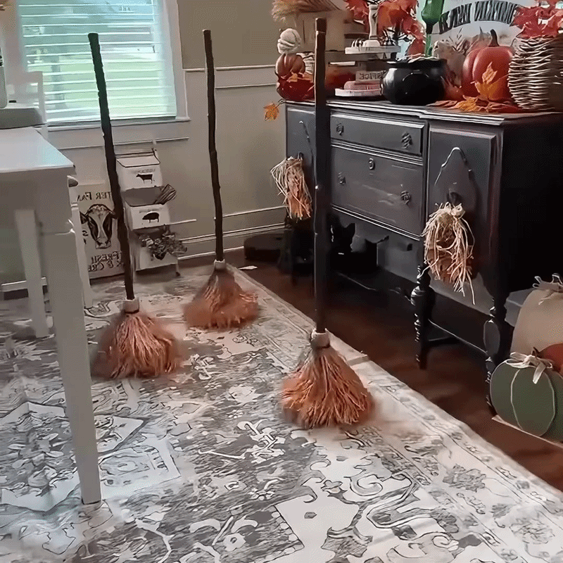 Autonomous Magic Broomstick